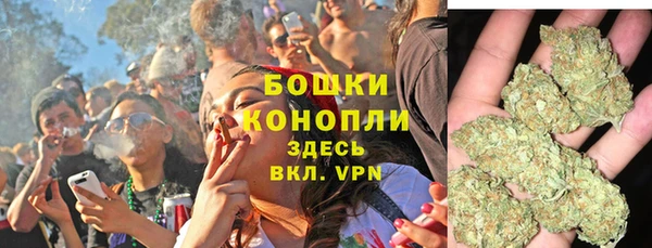 трава Богданович