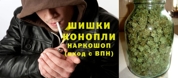 трава Богданович