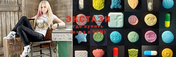 ECSTASY Богородск